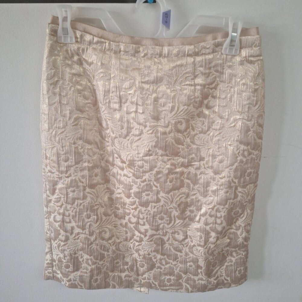 Ann Taylor LOFT skirt